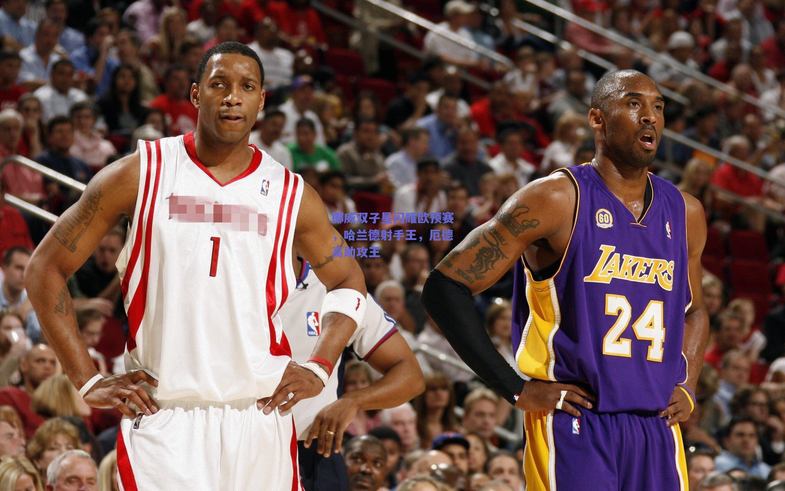 挪威双子星闪耀欧预赛，哈兰德射手王，厄德高助攻王